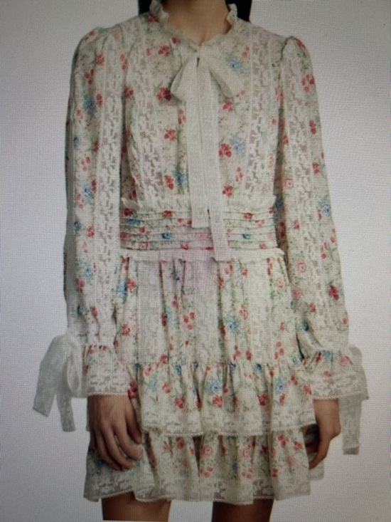 Anthropologie Dresses & Skirts - Anthropologie Stellah SZ L White Floral Dress Romantic Cottage Boho Coquette